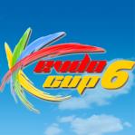 EVDO CUP 6